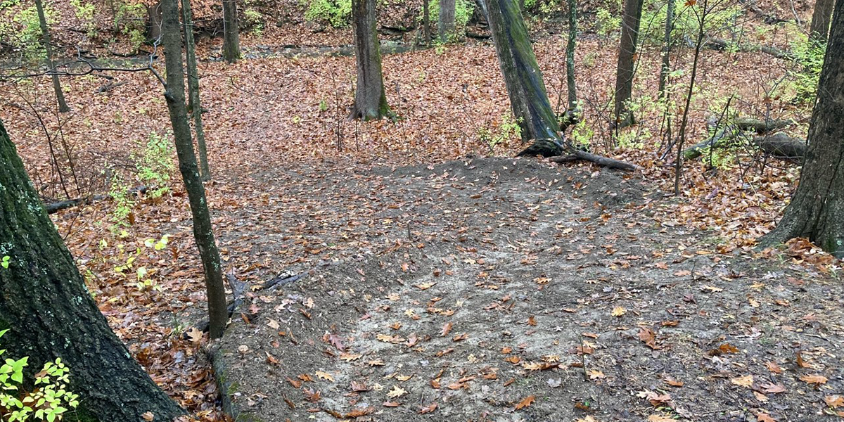 Trail in woods that was illegally built